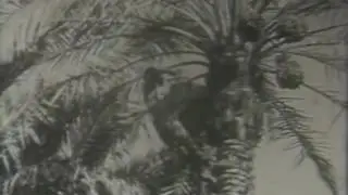 Date Production 1