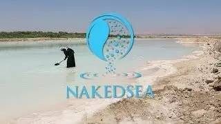 Сбор соли Мертвого моря NakedSea 2013