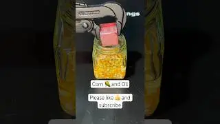 Corn and Oil! #satisfying #experiment #science #asmrsounds