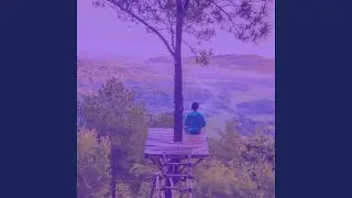 Magnificent Music for Wellness