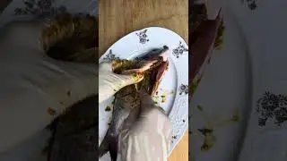 Orata alla charmoula marocchina con verdure