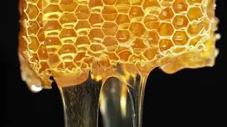 La marque Cocoon d'Orient&reg;, L'&Eacute;lixir de Jeunesse, Inspir&eacute; par les Secrets de Beaut&eacute; Marocains