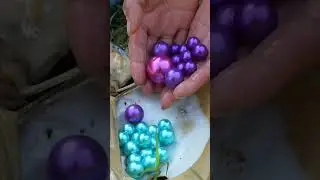 Clam&rsquo;s Hidden Gem: Rural Girl&rsquo;s Unexpected Pearl Discovery