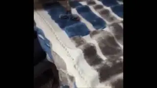 Easy Way To Repair a Rug in Palm Beach