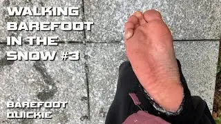 Walking Barefoot in the Snow #3 (Quickie)