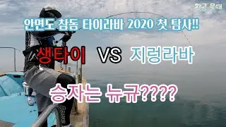 안면도 참돔 타이라바!!  생타이 vs 지렁라바 과연 누가 승자일까??