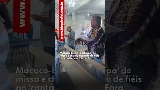 Macaco participa de Missa