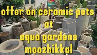 Part 2 of stock update, AQUA gardens calicut