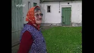 Kolonistenh&auml;user im Donaumoos