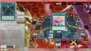 moarch vs magispecter