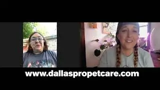 Dallas Pet Professionals interview for Streamathon for Pets