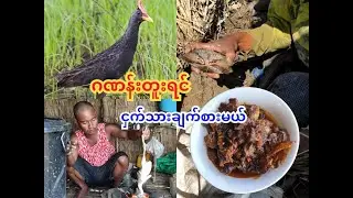 ဂဏန်းတူးရင် ငှက်သားချက်စားမယ်