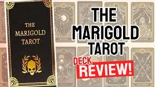 Marigold Tarot Review (All 78 Marigold Tarot Cards REVEALED!)