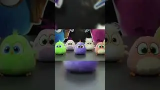 Hatchlings In Perfect Sync 🎵🪩