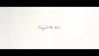 The Maguas - Forget Me Not