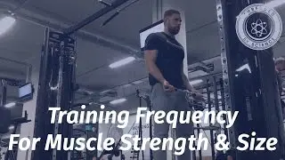 Training Frequency For Strength & Muscle Growth