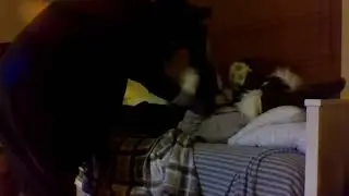 Surprised Kitty (Fursuit Parody) #tickle #tickles #furries #furry