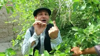بی صدایی خانم خود خانم دوم را می‌گیرد