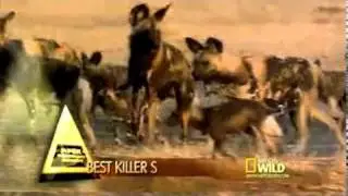Miss Universe Predator Awards