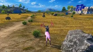 দেখলে শক খাবেন 😳 নতুন হরিণ পাবজি তে। BD Server এ আজ আগুন 🔥 | PUBG Mobile High Kill Gameplay