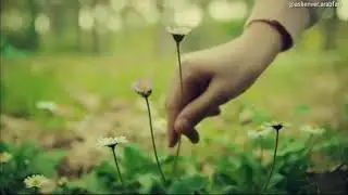 الأغنية التركية Hoşçakal مترجمة _من مسلسل عروس اسطنبول