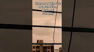 amazing view😍 #hoh #ytshorts #youtubeshorts #srkdialogue #lifequotes #fact #animalbirds