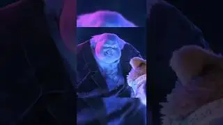 Скрытая смена руки Джека Хорнера в фильме &laquo;Кот в сапогах: Последнее желание&raquo;