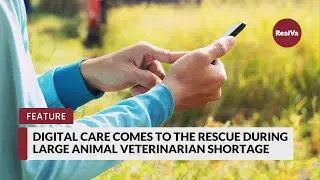 Digital Care Comes to the Rescue During Large Animal Veterinarian Shortage in Rural Virginia
