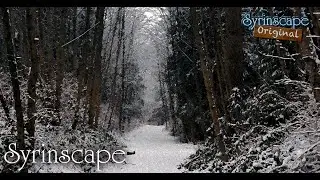 Icy forest SoundSet Teaser | Immersive RPG Audio from Syrinscape