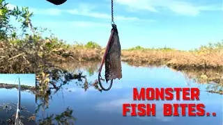 Huge Bite in a Flooded Jungle! #Fishing