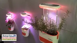 CES 2022: Altifarm Pico smart planters, Benjilock smart padlocks and Bob tiny dishwashers