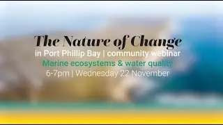 The Nature of Change in Port Phillip Bay | Marine ecosystems and water quality