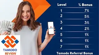 Tamodo Review  Make Money Online From Home FAST And EASY Payment Proofs