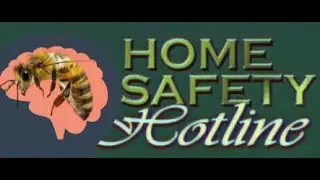 Bees in my Brain - Home Safety Hotline (P1)