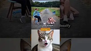 funny challenge whit sister 😄#funny #cat #dance #shorts