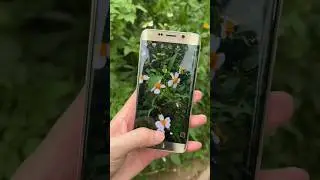 Samsung Galaxy S6 edge plus old is gold  #shorts #Camera test #tech