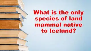What is the only species of land mammal native to Iceland?