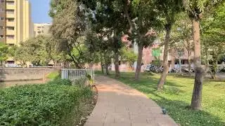 4K 2160p 60fps (main camera) - Pixel 9a video sample