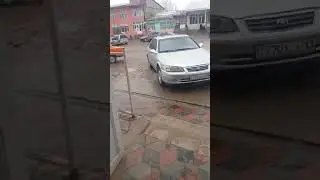 Турбат