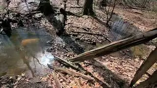Hiking Rouge Park, Detroit - Stonebridge Nature Trail and Sorensen Promenade, April 2, 2023