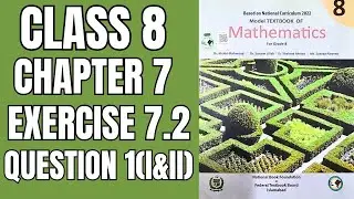 Упражнение 7.2 по математике, 8 класс, вопрос 1 (i и ii) || National Book Foundation || Math With...