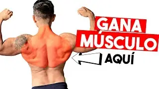 Espalda y Trapecio con Mancuernas ✅ MÁXIMO DESARROLLO con este ejercicio!