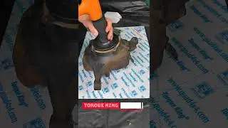 QT1515 Dana 50 and 60 seal installer! #shorts #powerstroke