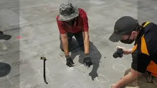 Wind Uplift Testing