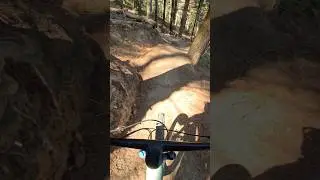 This trail is a rollercoaster! 🎢
