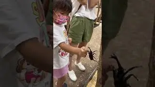 Daring my kids to pick up giant bugs #shorts