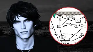 How To Grow Bones in Your FACE for a Sharp look (Hormone manipulation)