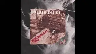 Sentimental Soul music Official Flush Inside