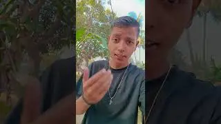 Rupar💞pasara dhari🫂🐼💫#short #odiasong #exploremore #viralshort #trending #youtubeshorts #love #for
