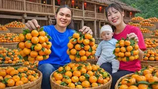 Harvesting Wild Oranges - Taking Them to the Market to Sell | SURVIVAL ALONE